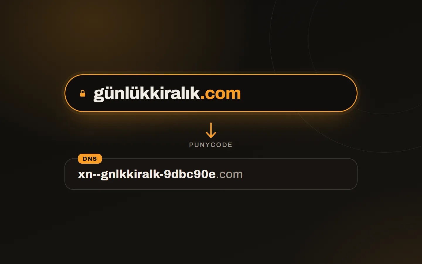Türkçe karakterli alan adının tarayıcıda ve DNS’te görünen iki hali