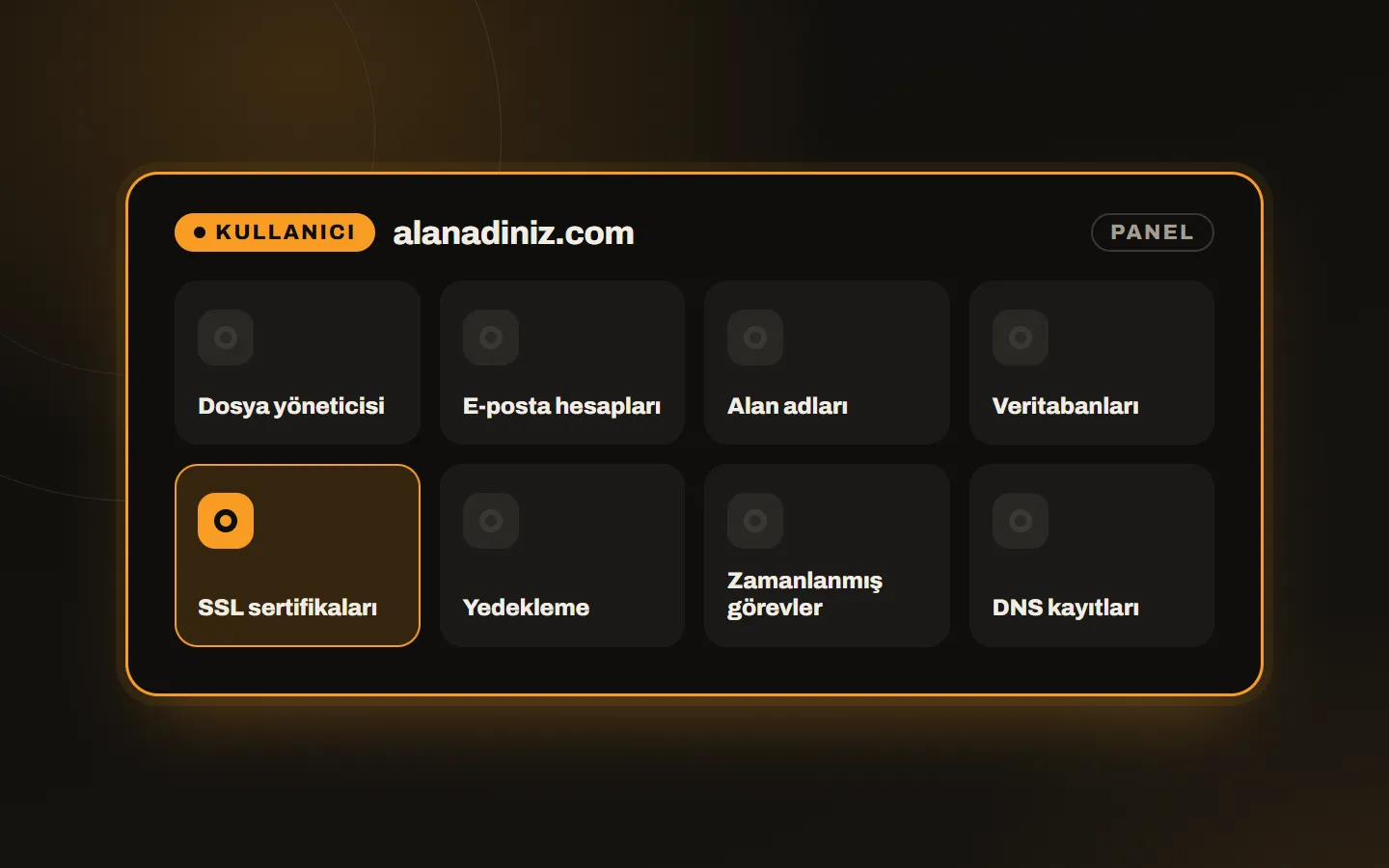 DirectAdmin kullanıcı paneli: dosya yöneticisi, e-posta, alan adları, veritabanları, SSL ve yedekleme kutuları