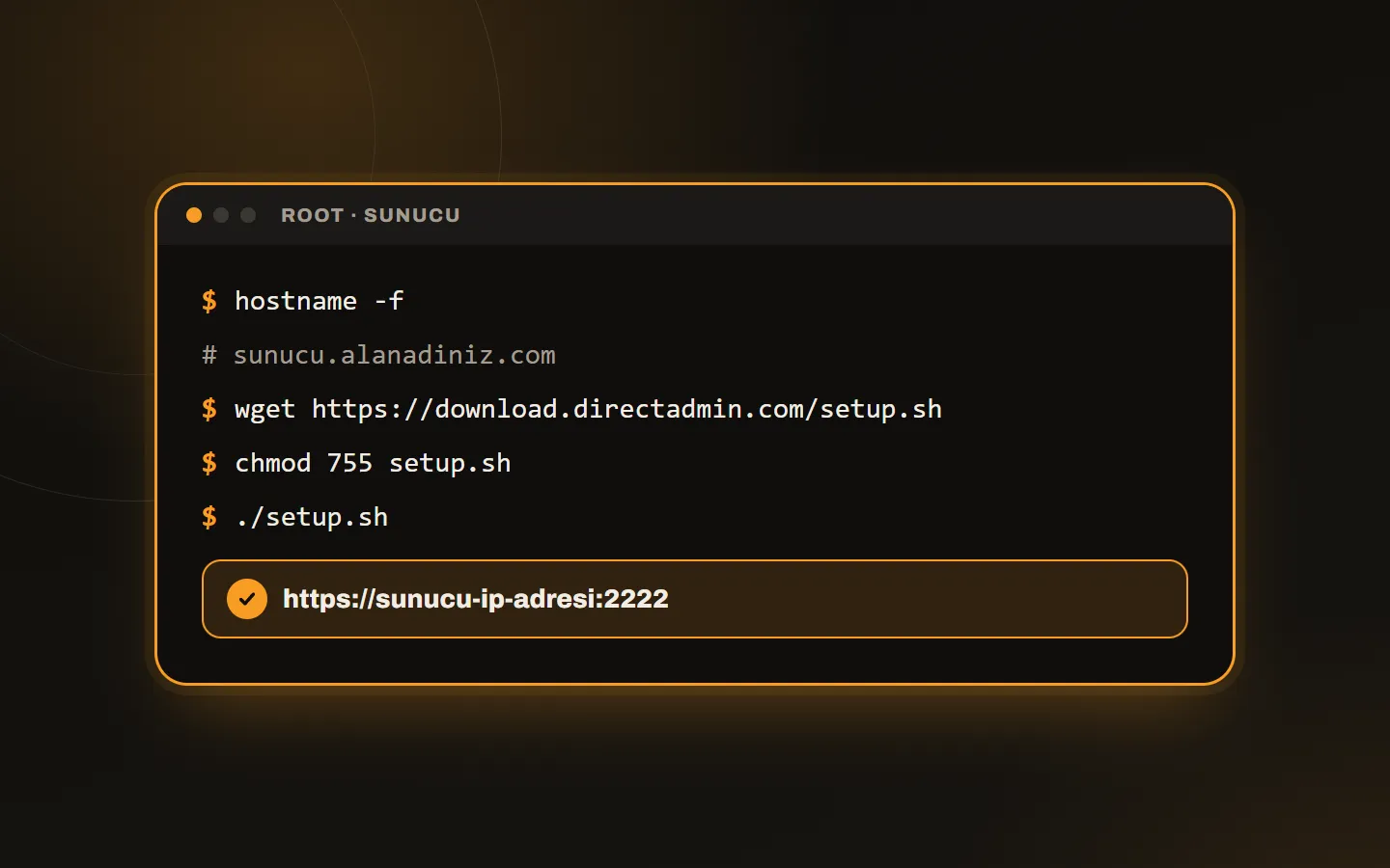 Sunucuda DirectAdmin kurulum komutları: hostname kontrolü, setup.sh indirme ve çalıştırma, panel adresi
