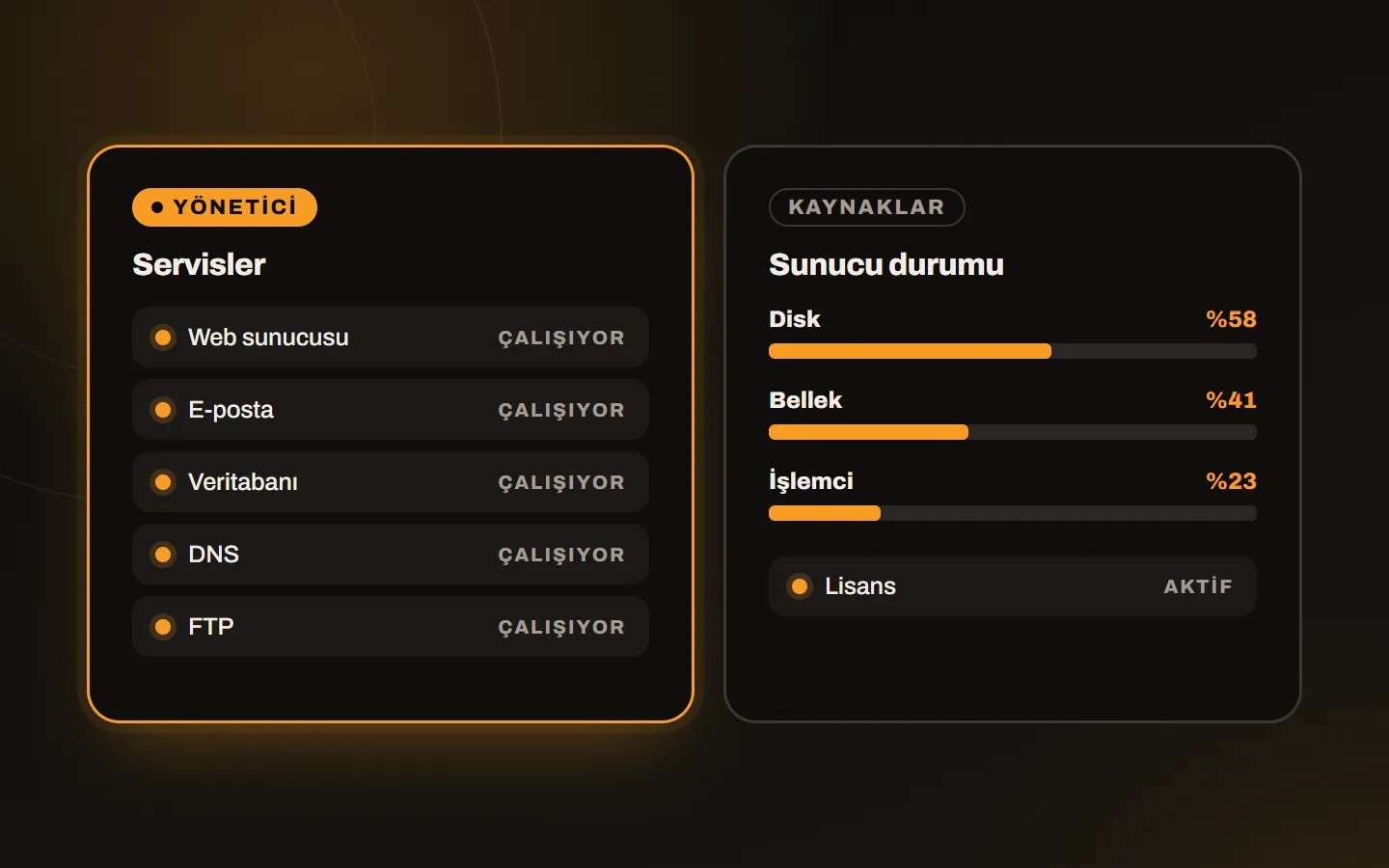 DirectAdmin yönetici paneli: servis durumları ve disk, bellek, işlemci kullanımı