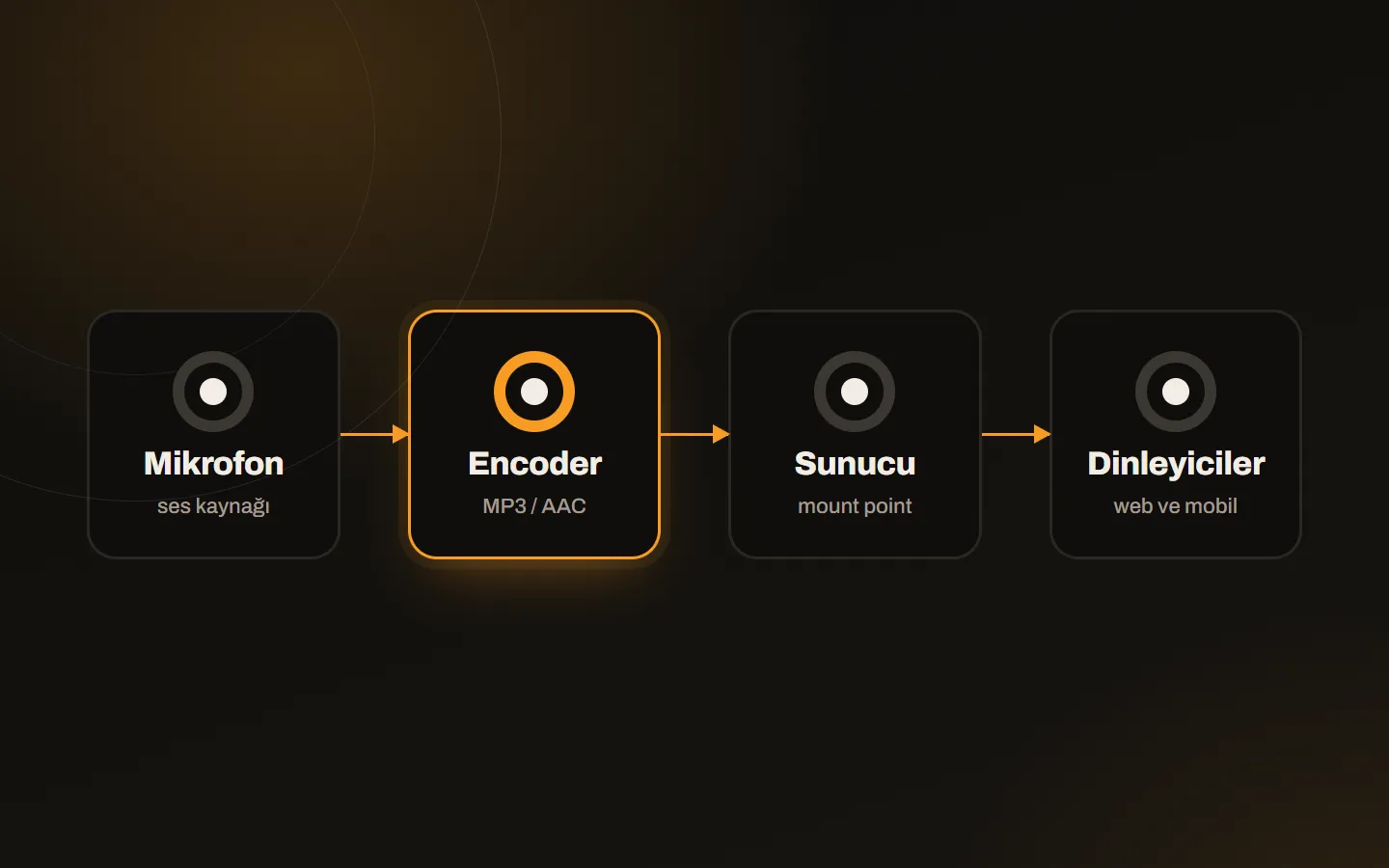 The live broadcast chain: microphone, encoder, radio server and listeners